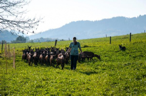 Отель Agroturistika kozí farma Rožnov pod Radhoštěm  Рожнов-Под-Радгоштем